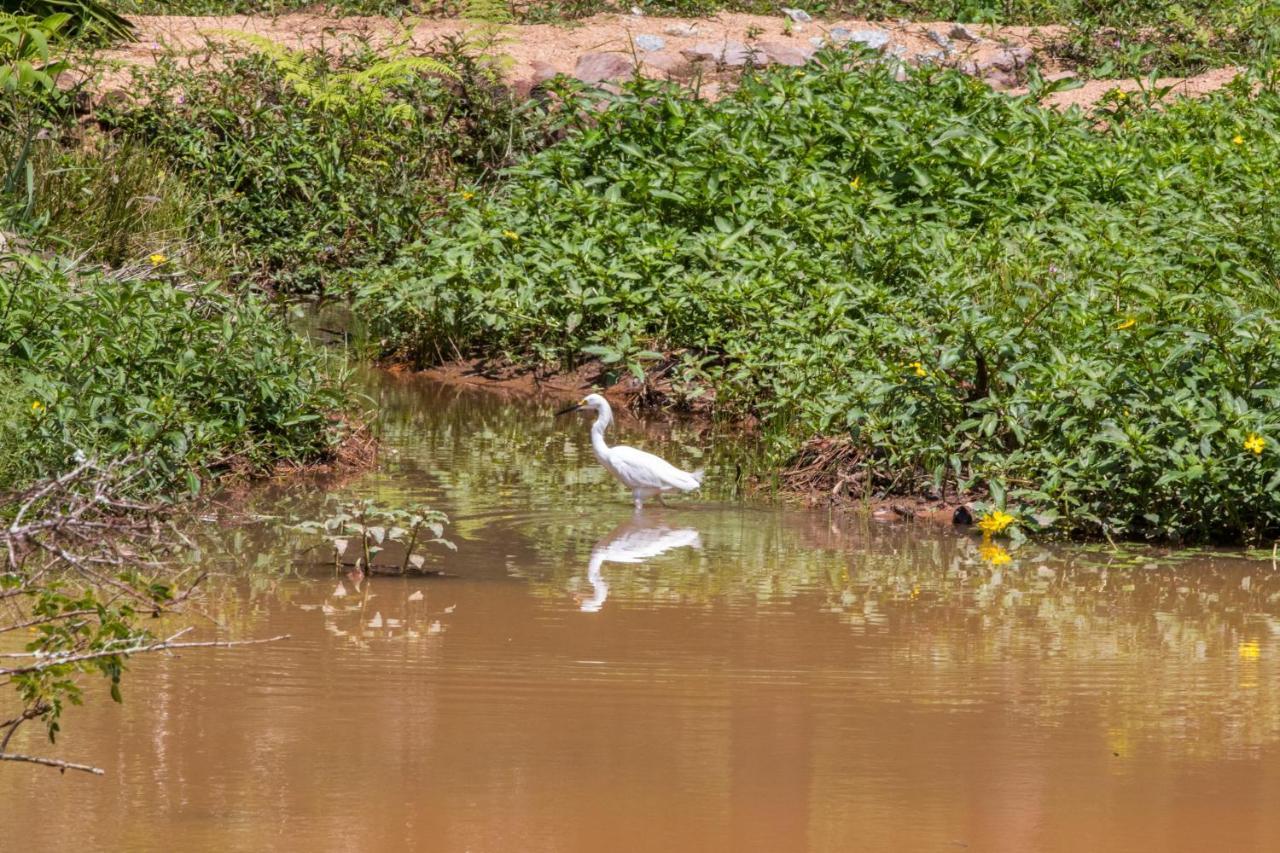 Villaggio Serra Da Cantareira Mairiporã Exterior foto